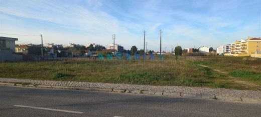 Terrain à Marinha Grande, Distrito de Leiria