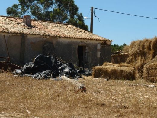 Fattoria a Odeceixe, Aljezur