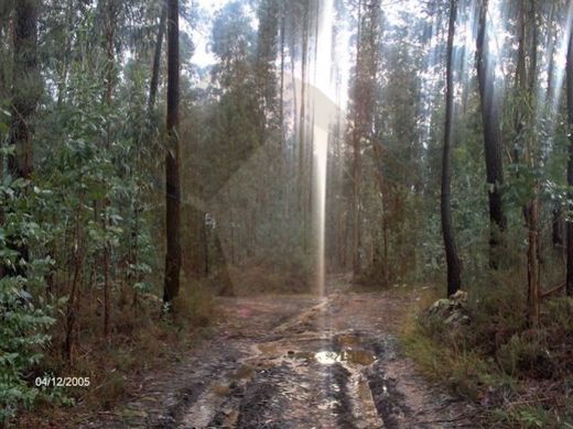 Land in Ribeirão, Vila Nova de Famalicão