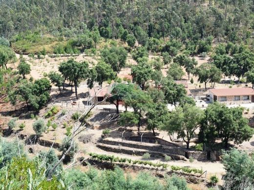 Φάρμα σε Lavegadas, Vila Nova de Poiares