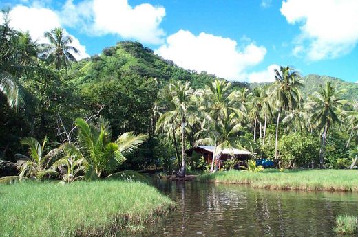 Grond in Teahupoo, Taiarapu-Ouest