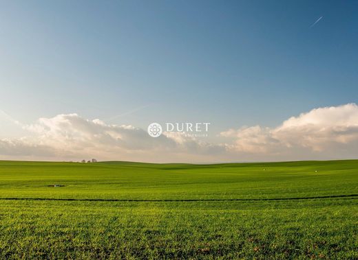 Terreno - Chantonnay, Vendée