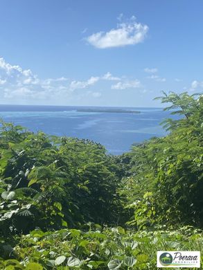Land in Raiatea, Îles Sous-le-Vent