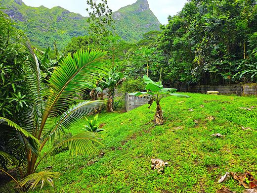 Land in Teavaro, Îles du Vent