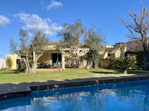 Mauguio, Héraultの高級住宅