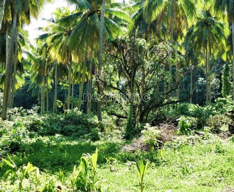 Grond in Moorea, Moorea-Maiao