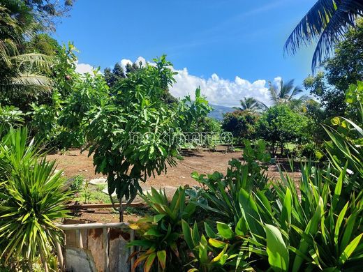 토지 / Tohautu, Îles du Vent