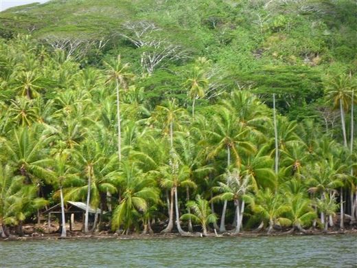 Arsa Fare, Îles Sous-le-Vent