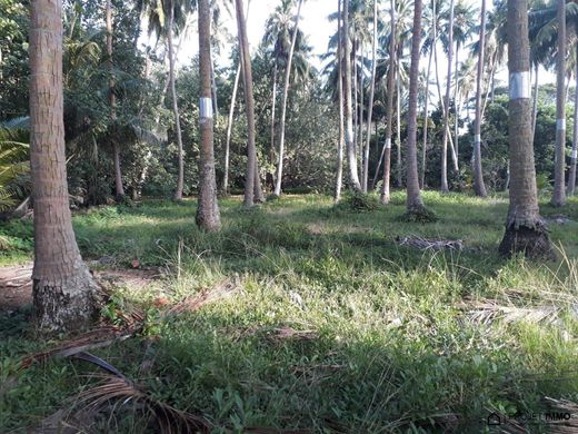 Terreno a Afareaitu, Îles du Vent