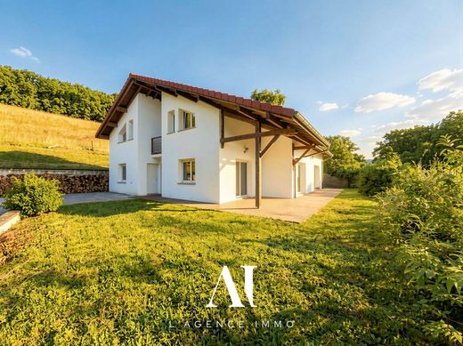 Luxus-Haus in Vesancy, Ain