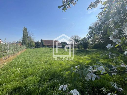Luxury home in Truchtersheim, Bas-Rhin