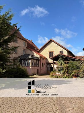 公寓楼  Fénétrange, Moselle