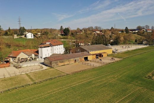 豪宅  Annemasse, Haute-Savoie