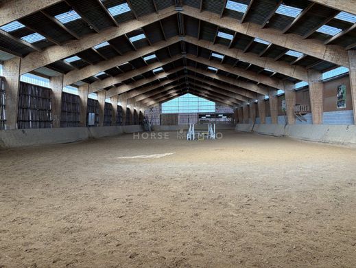 Maison de luxe à Nantes, Loire-Atlantique