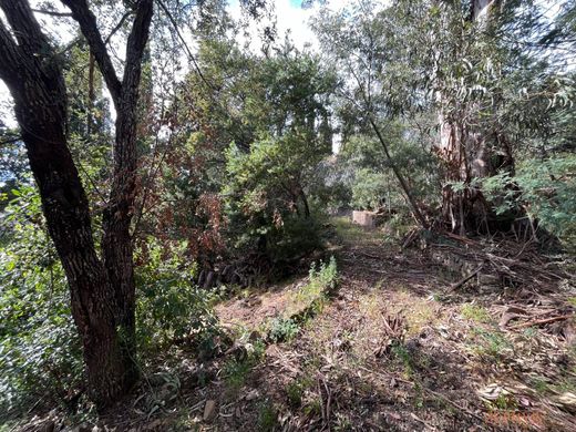 Land in Roquebrune-sur-Argens, Var