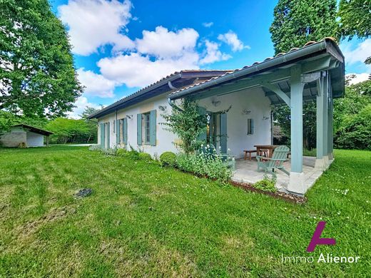 Luxury home in Hostens, Gironde