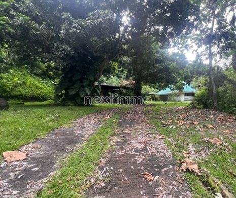 Terreno - Raiatea, Îles Sous-le-Vent
