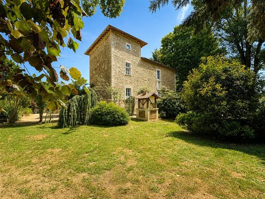 Castillo en Eyzin-Pinet, Isere