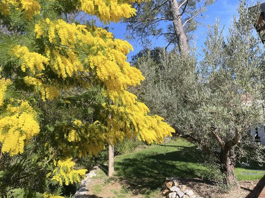 Luxury home in Montpellier, Hérault