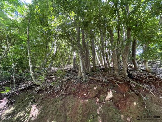 Terreno a Papeete, Îles du Vent