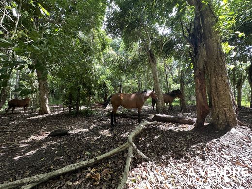 Land in Païta, Province Sud