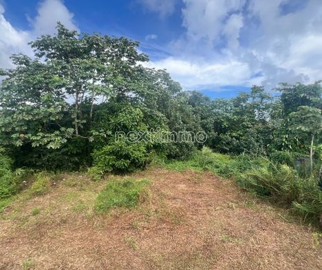 Grundstück in Taravao, District de Vairao