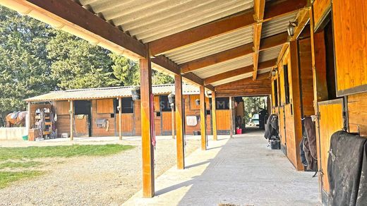 ‏בתי יוקרה ב  אביניון, Vaucluse