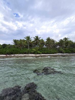 Land in Fare, Îles Sous-le-Vent