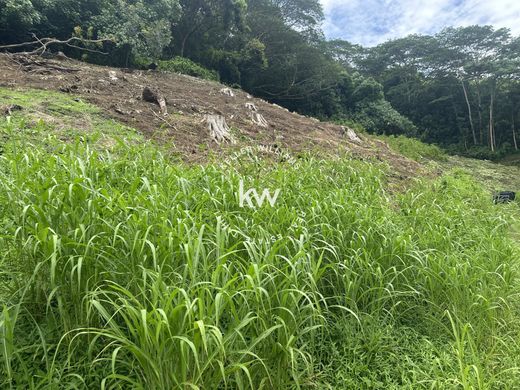 Arsa Haapiti, Îles du Vent