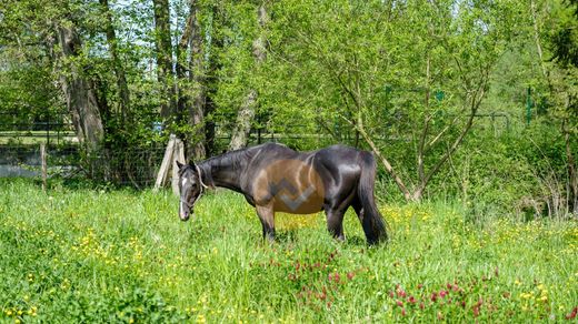 Πολυτελή κατοικία σε Largitzen, Haut-Rhin