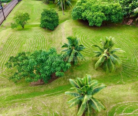 Land in Papenoo