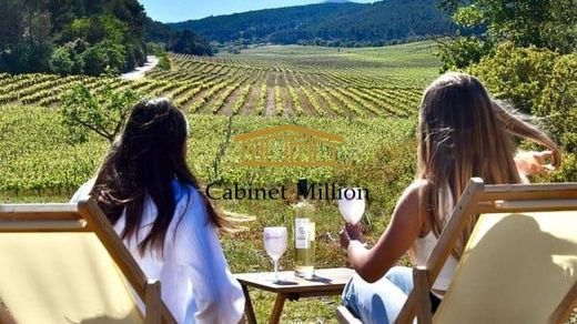 Casa de lujo en Vic-la-Gardiole, Herault