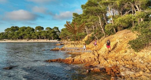 Appartement à Bormes-les-Mimosas, Var