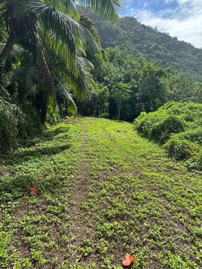 Terrain à Moorea, Moorea-Maiao