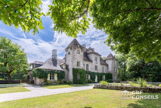 Castle in Bassignac, Cantal