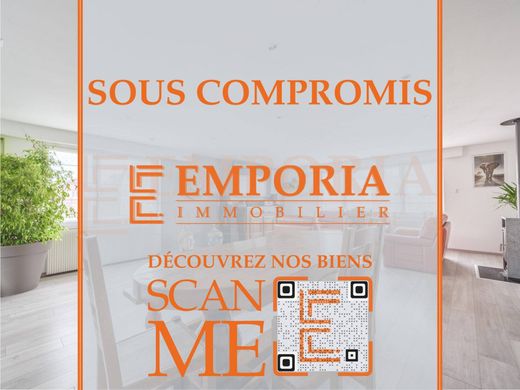 Luxury home in Hagenthal-le-Bas, Haut-Rhin