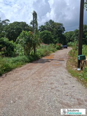 Arsa Matoury, Arrondissement de Cayenne