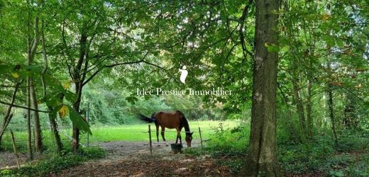 호화 저택 / Fontainebleau, Seine-et-Marne