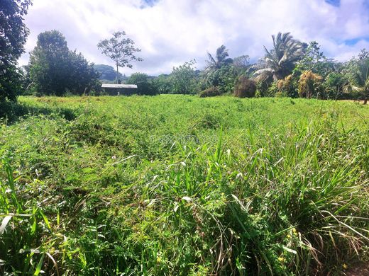 토지 / Tohautu, Îles du Vent