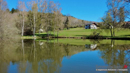 Lüks ev Coinches, Vosges