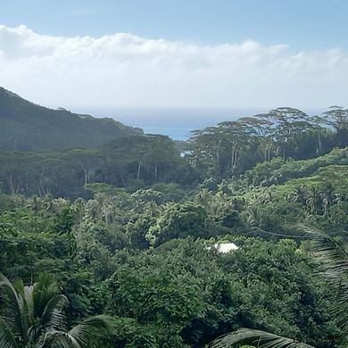 Αγροτεμάχιο σε Paopao, Îles du Vent