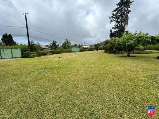 Land in Tohautu, Îles du Vent