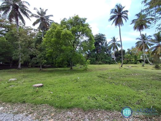 Участок, Las Terrenas, Samaná Province