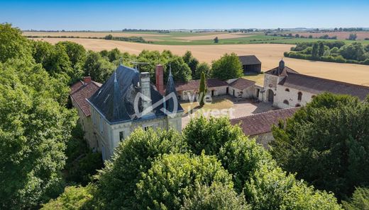 Castle in Faye-la-Vineuse, Indre and Loire