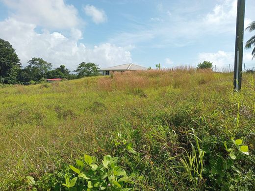 Land in Taiarapu, Îles du Vent