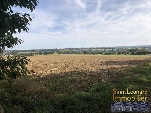 Land in La Chapelle-Saint-Aubert, Ille-et-Vilaine