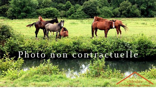 호화 저택 / Erstein, Bas-Rhin