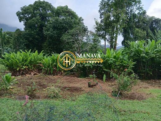 Land in Paopao, Îles du Vent