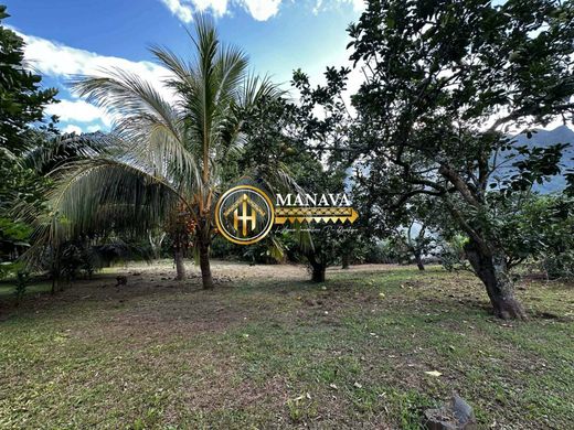 Terreno - Paopao, Îles du Vent