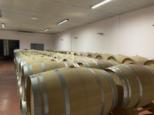 Luxury home in Laurens, Hérault